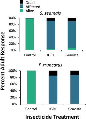 Exposure to a Novel Insecticide Formulation on Maize and Concrete Reduces Movement by the Stored Product Pests, Prostephanus truncatus (Horn) and Sitophilus zeamais (Motschulsky)